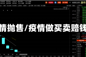 疫情抛售/疫情做买卖赔钱