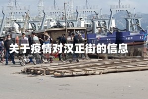 关于疫情对汉正街的信息