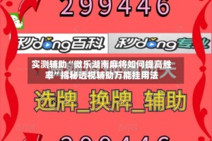 实测辅助“微乐湖南麻将如何提高胜率”揭秘透视辅助万能挂用法