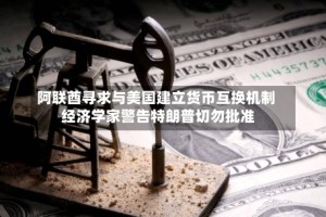 阿联酋寻求与美国建立货币互换机制 经济学家警告特朗普切勿批准
