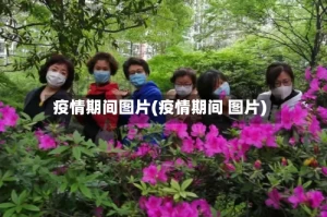 疫情期间图片(疫情期间 图片)
