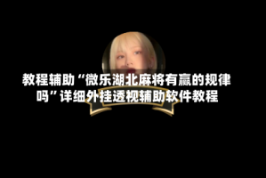 教程辅助“微乐湖北麻将有赢的规律吗”详细外挂透视辅助软件教程