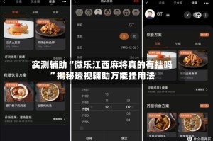 实测辅助“微乐江西麻将真的有挂吗”揭秘透视辅助万能挂用法