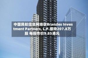 中国民航信息网络获Brandes Investment Partners, L.P.增持207.8万股 每股作价9.85港元