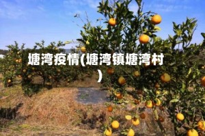 塘湾疫情(塘湾镇塘湾村)