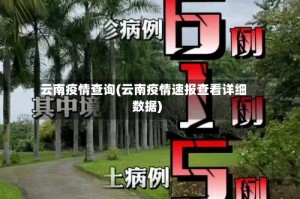 云南疫情查询(云南疫情速报查看详细数据)
