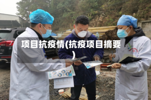 项目抗疫情(抗疫项目摘要)