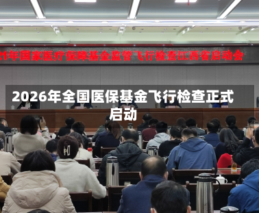 2026年全国医保基金飞行检查正式启动