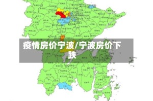 疫情房价宁波/宁波房价下跌
