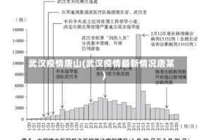 武汉疫情唐山(武汉疫情最新情况唐某)