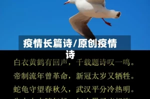 疫情长篇诗/原创疫情诗