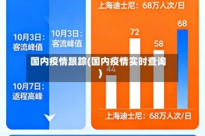 国内疫情跟踪(国内疫情实时查询)