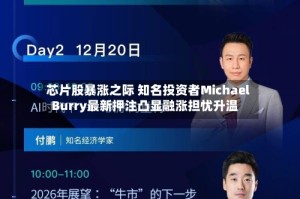 芯片股暴涨之际 知名投资者Michael Burry最新押注凸显融涨担忧升温
