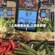 【上海疫情太松,上海将疫情】