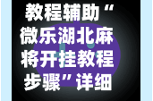 教程辅助“微乐湖北麻将开挂教程步骤”详细外挂透视辅助软件教程