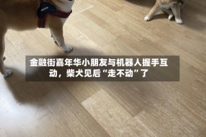 金融街嘉年华小朋友与机器人握手互动，柴犬见后“走不动”了