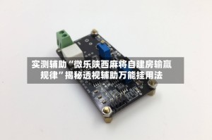 实测辅助“微乐陕西麻将自建房输赢规律”揭秘透视辅助万能挂用法