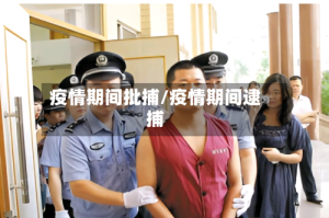 疫情期间批捕/疫情期间逮捕