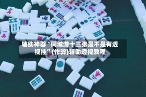 辅助神器“同城游十三张是不是有透视挂”(作弊)辅助透视教程