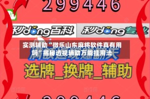实测辅助“微乐山东麻将软件真有用吗”揭秘透视辅助万能挂用法