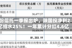 首份信托一季报出炉，陕国投净利2.9亿缩水25%！一年累计分红4.6亿
