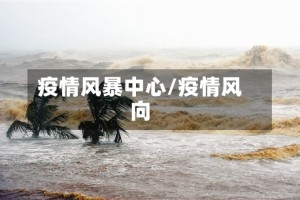 疫情风暴中心/疫情风向