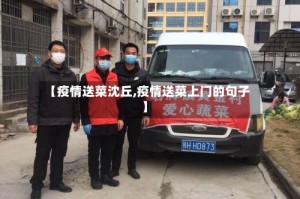 【疫情送菜沈丘,疫情送菜上门的句子】