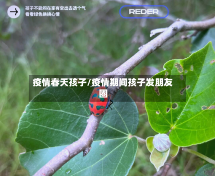 疫情春天孩子/疫情期间孩子发朋友圈