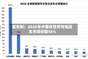 崔东树：2026年中国在世界纯电动车市场份额56%