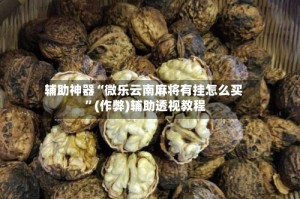辅助神器“微乐云南麻将有挂怎么买 ”(作弊)辅助透视教程