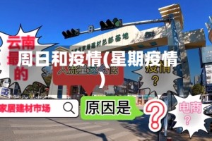 周日和疫情(星期疫情)