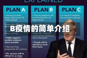 B疫情的简单介绍