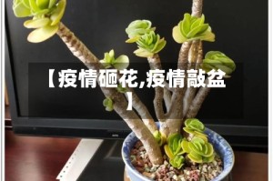 【疫情砸花,疫情敲盆】