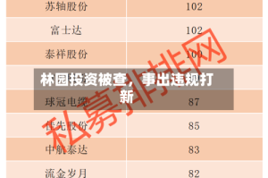 林园投资被查，事出违规打新