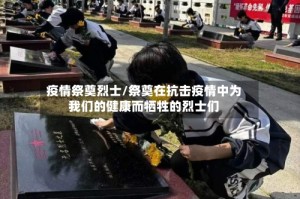 疫情祭奠烈士/祭奠在抗击疫情中为我们的健康而牺牲的烈士们