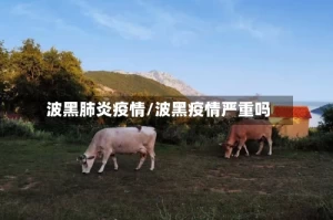 波黑肺炎疫情/波黑疫情严重吗