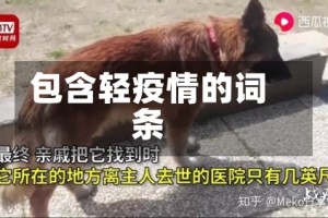 包含轻疫情的词条