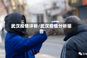 武汉疫情评析/武汉疫情分析报告