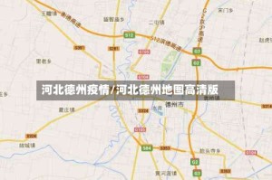 河北德州疫情/河北德州地图高清版