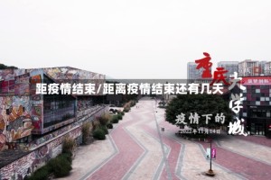 距疫情结束/距离疫情结束还有几天