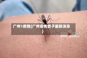 广州1疫情(广州疫情蚊子最新消息)