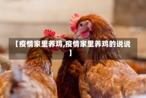 【疫情家里养鸡,疫情家里养鸡的说说】