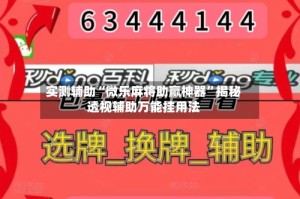 实测辅助“微乐麻将助赢神器”揭秘透视辅助万能挂用法