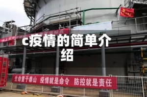 c疫情的简单介绍