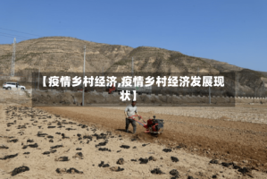 【疫情乡村经济,疫情乡村经济发展现状】