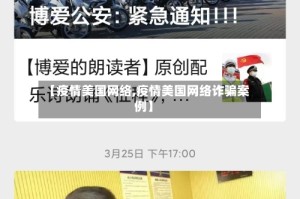 【疫情美国网络,疫情美国网络诈骗案例】