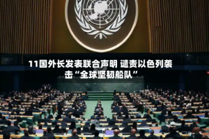 11国外长发表联合声明 谴责以色列袭击“全球坚韧船队”