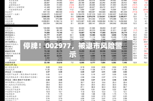 停牌！002977，被退市风险警示