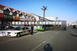 疫情期间交通特点(疫情期间的交通运输)