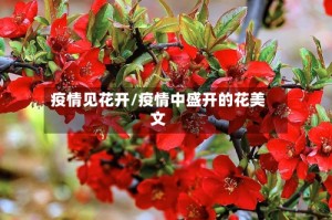 疫情见花开/疫情中盛开的花美文